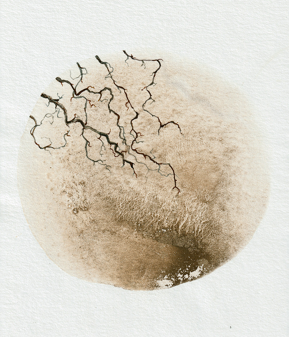 Breaking through | Mud and watercolour root painting
