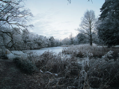 Wood, fire and alchemy | A mid-winter retreat