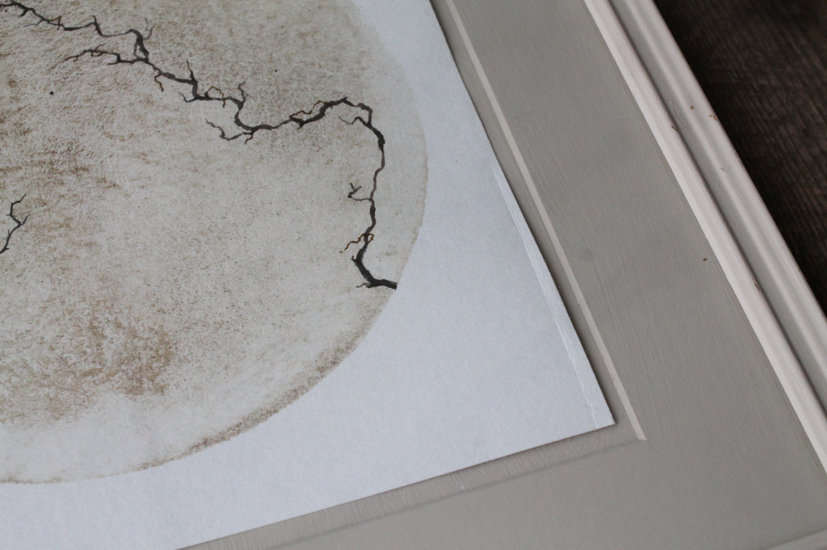 Between the cracks | Mud and watercolour root painting
