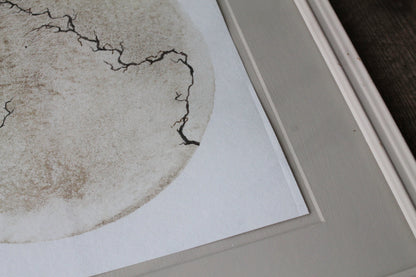 Between the cracks | Mud and watercolour root painting