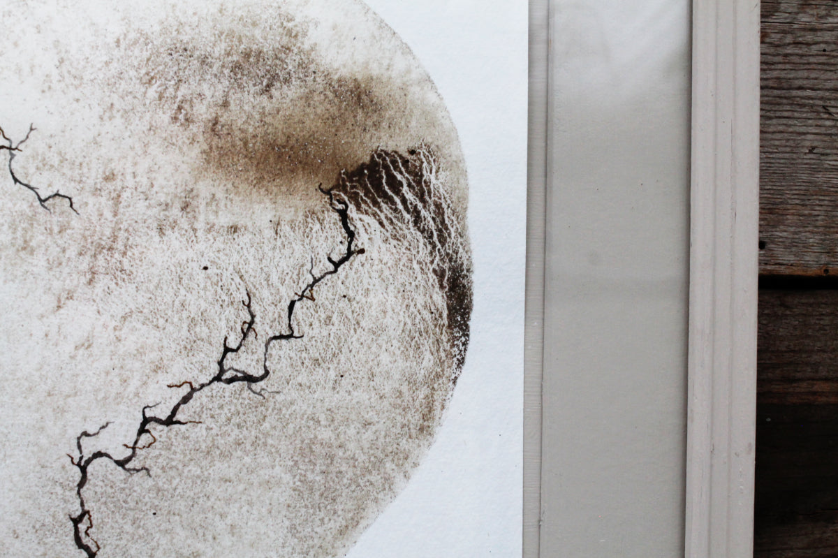 Between the cracks | Mud and watercolour root painting