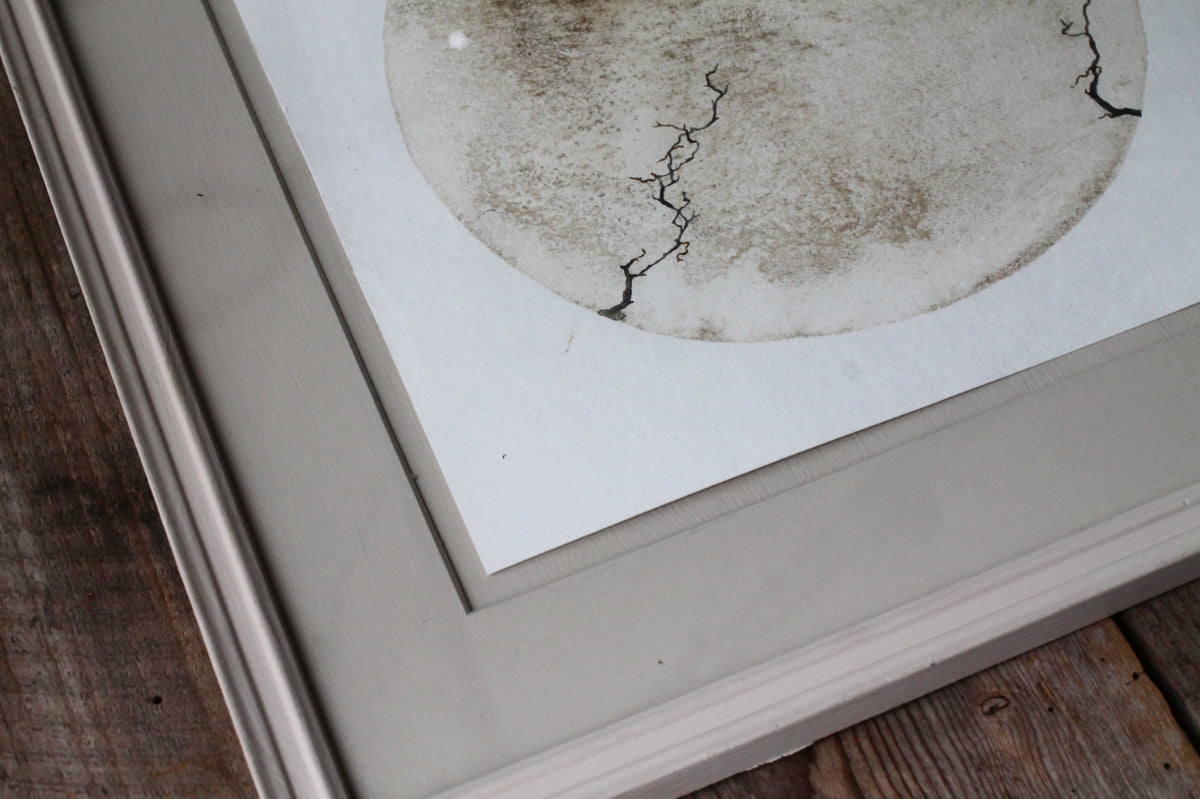 Between the cracks | Mud and watercolour root painting