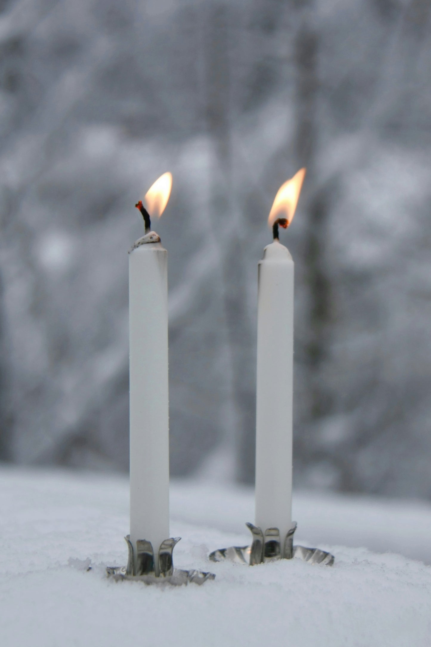 Enchant Your Winter Bundle