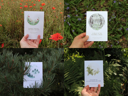 Seasonal nature guides bundle