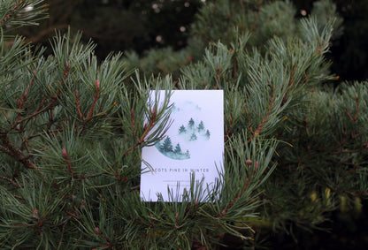 Seasonal nature guides bundle