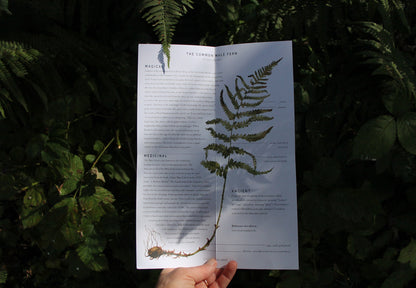 Seasonal nature guides bundle